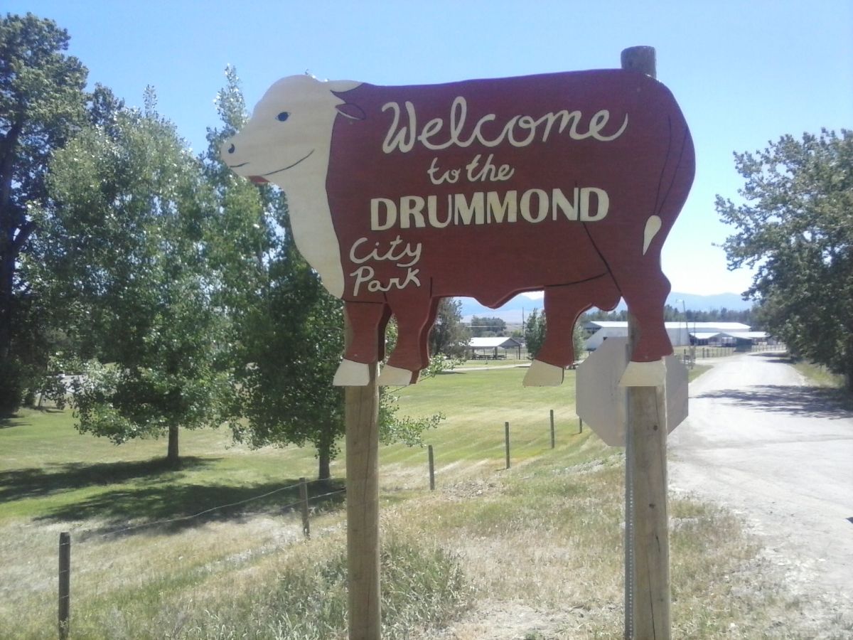 Drummond City Park Image - Cow